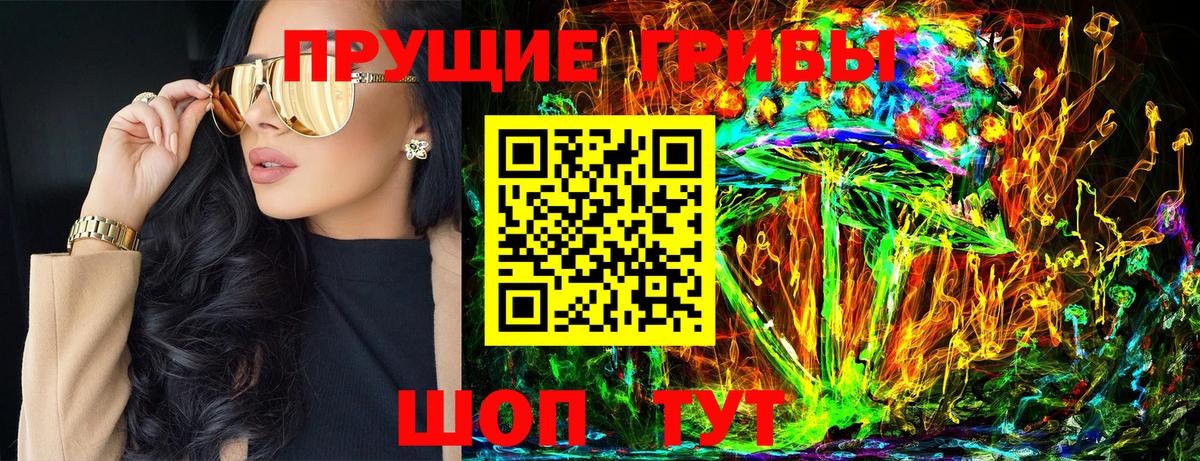 Псилоцибиновые грибы GOLDEN TEACHER Кубинка